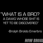 What is a Bro? by cuyahoga